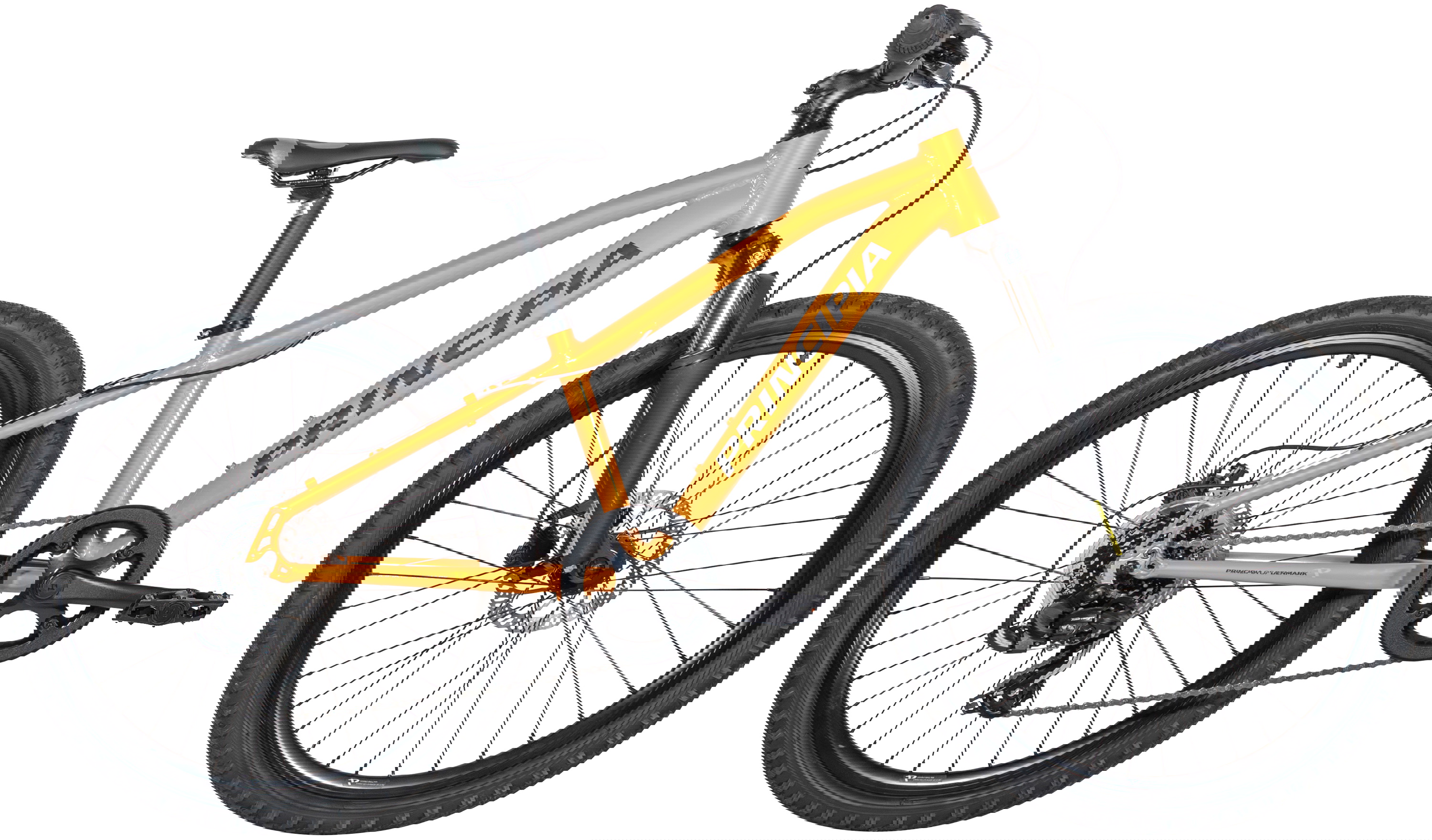 Principia Evoke A2   26 Quot  7g 2026 Blank Orange