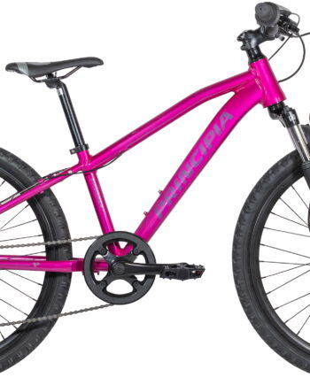 Principia Evoke A2   20 Quot  6g 2026 Blank Pink