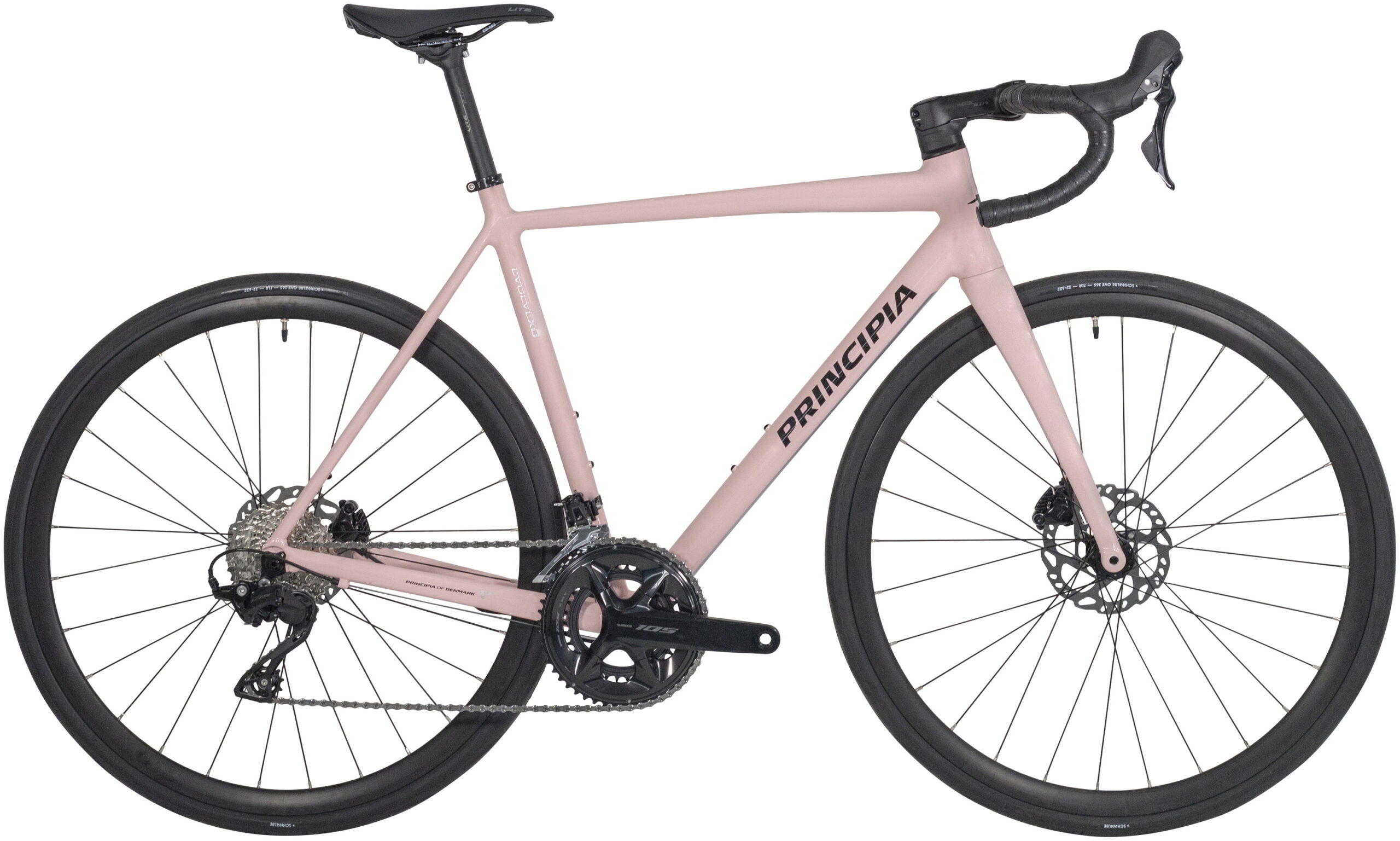 Principia Evolve Xo 2x12g 2026 Blank Pink