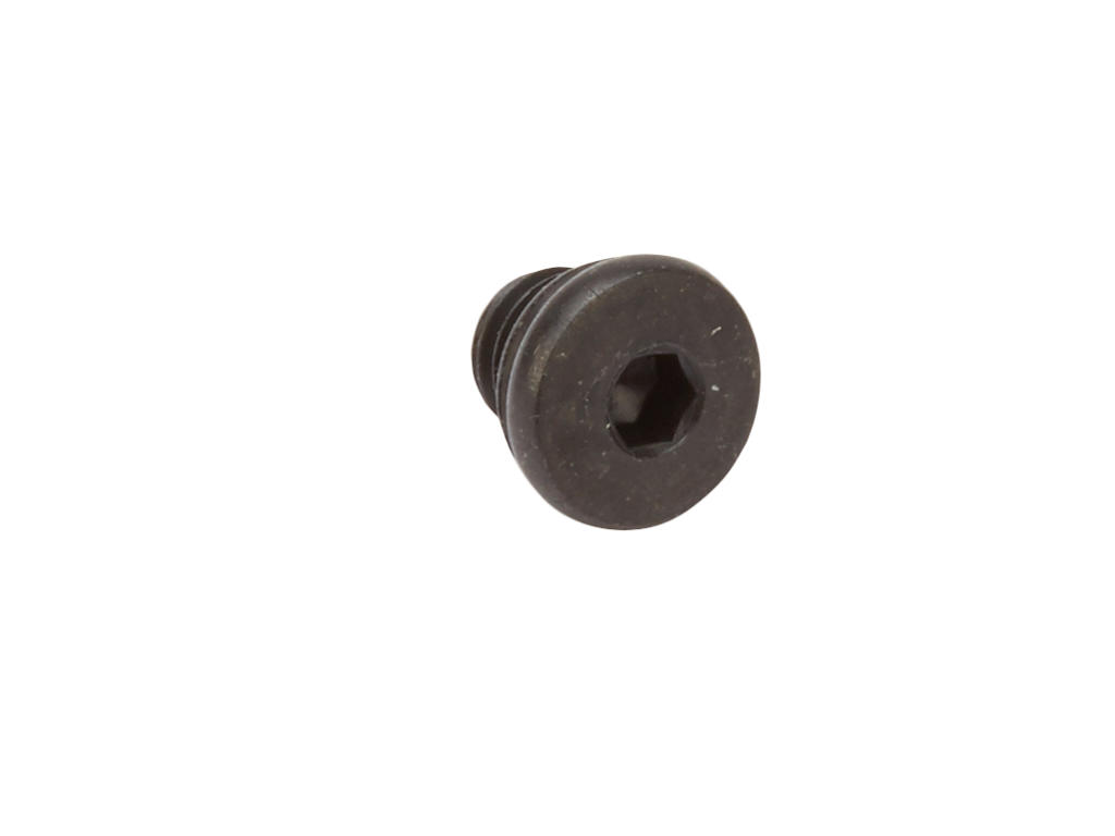 Shimano Xtr Bleed Skrue Og   Ring Bl-m985 Og Bl-m988