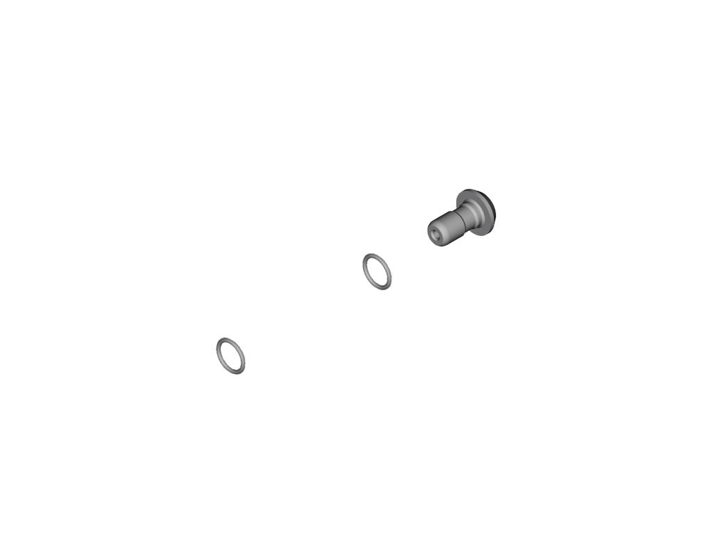Shimano Xt Slx Banjo Bolt Og -ring For Breemsekaliber Streight M8100