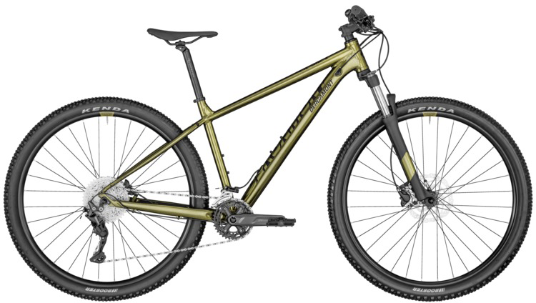 Bergamont Revox 2022