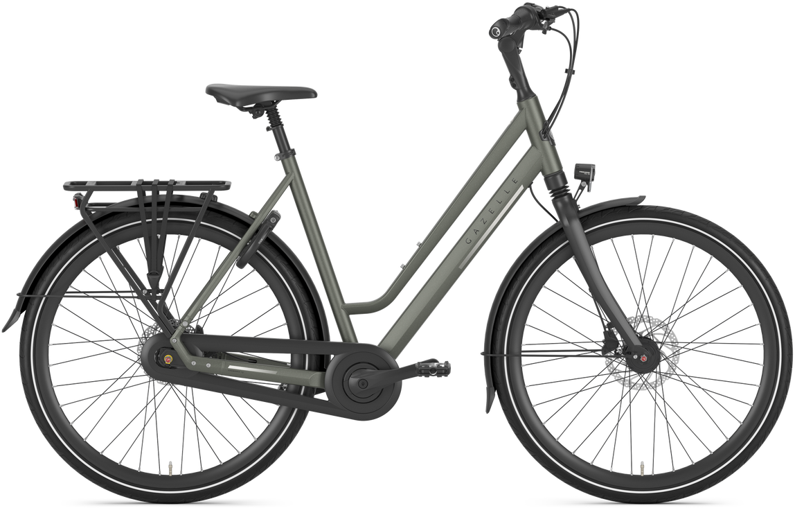 Gazelle Chamonix C8 Dame 2026 Grøn