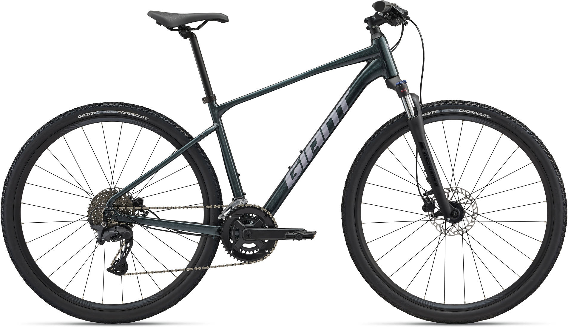 Giant Roam   2026 Asphalt Green
