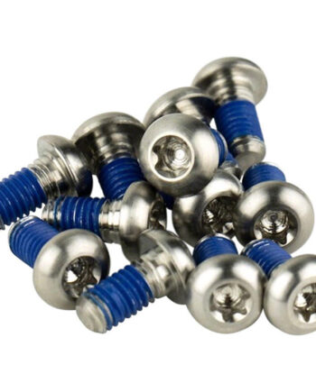 Sram Rotor Bolte   Titanium Silver 12 Stk
