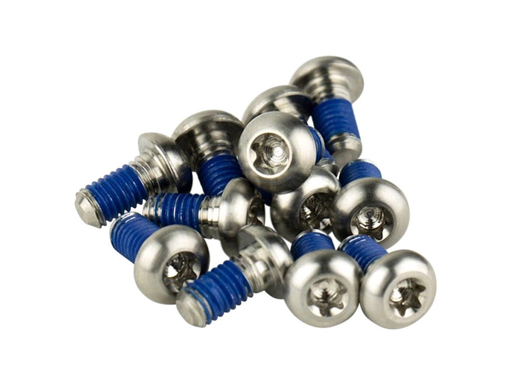 Sram Rotor Bolte Titanium Silver 12 Stk