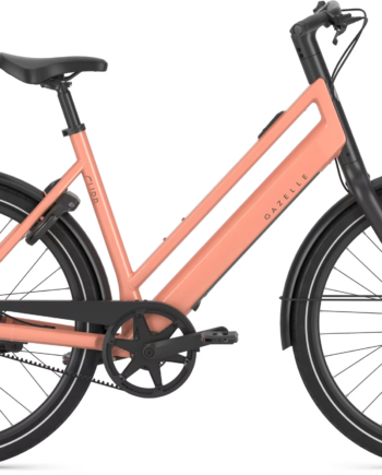 Gazelle Curb C1 Dame 2027 Soft Peach Blank