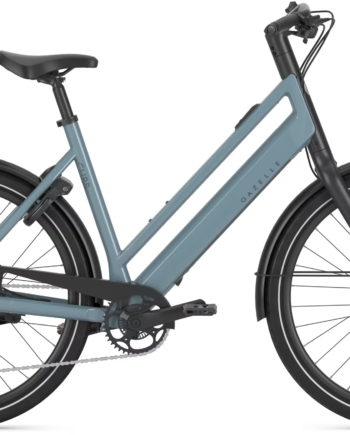 Gazelle Curb T9 Dame 2027 Thunder Grey Blank